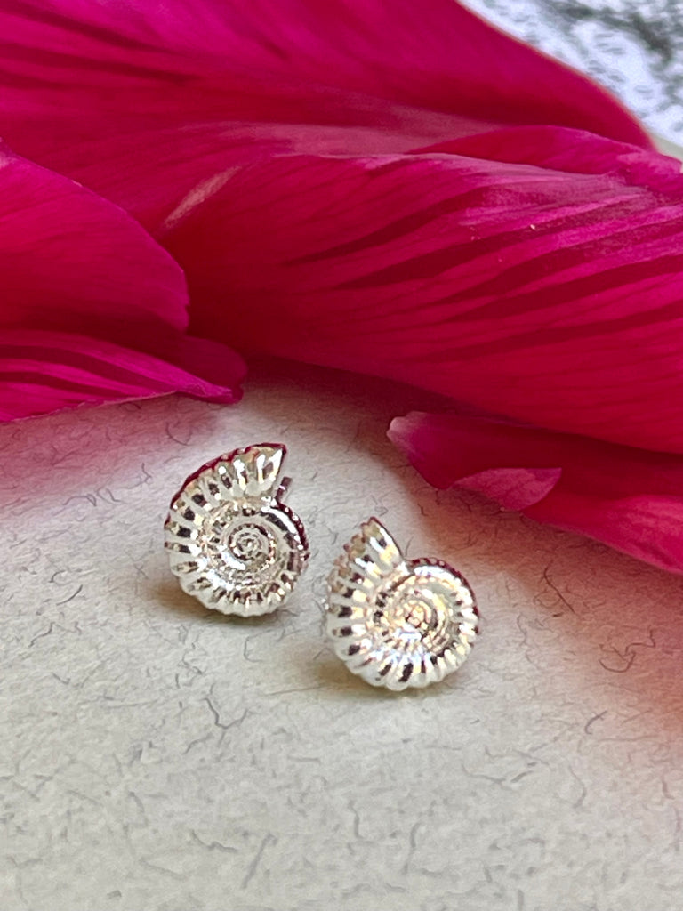 Summer Ammonites